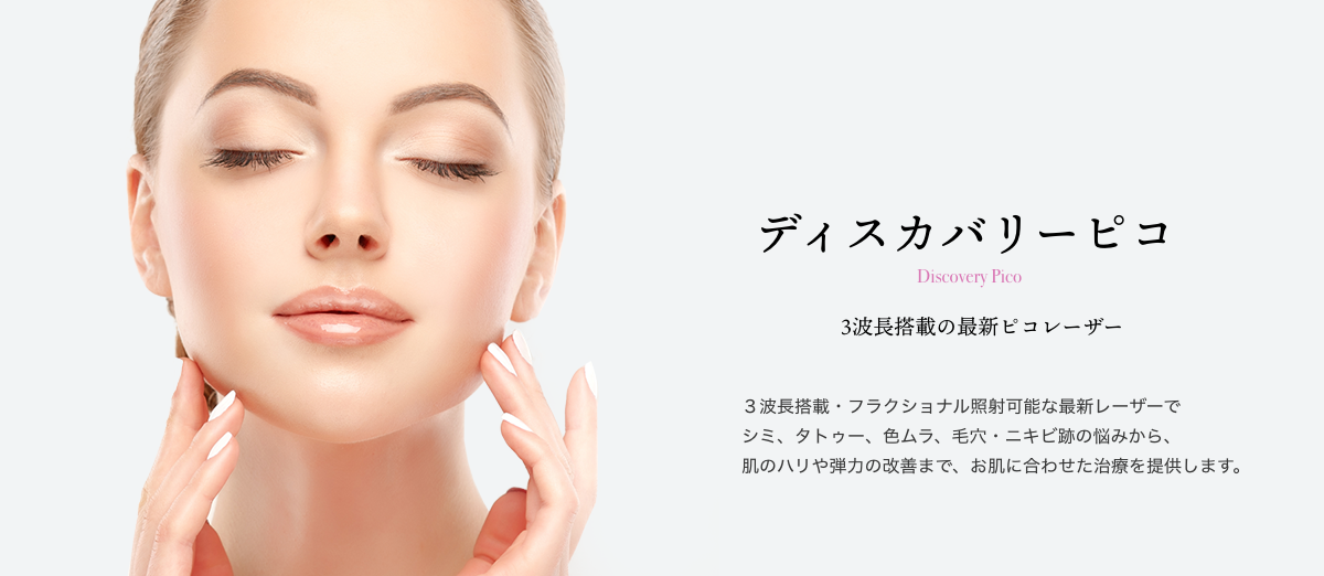 ディスカバリーピコ
